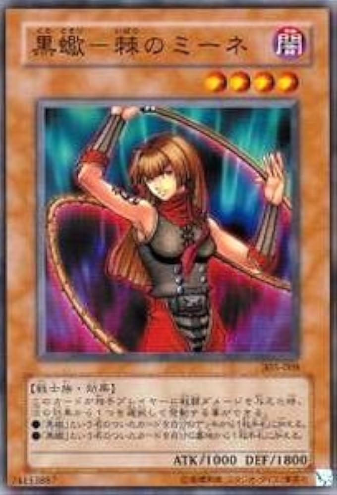 遊戯王 - あっらーさん専用(ハネクリ、黒衣) 遊戯王 - あっらーさん専用(ハネクリ、黒衣) 61tfLT5eKOL._UF350